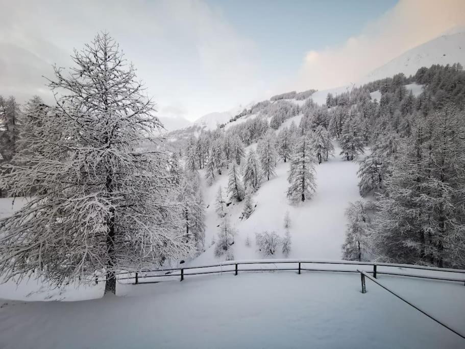 Cosy Apart, Ski Snow Surf, Foux D'Allos Avec Vue מראה חיצוני תמונה